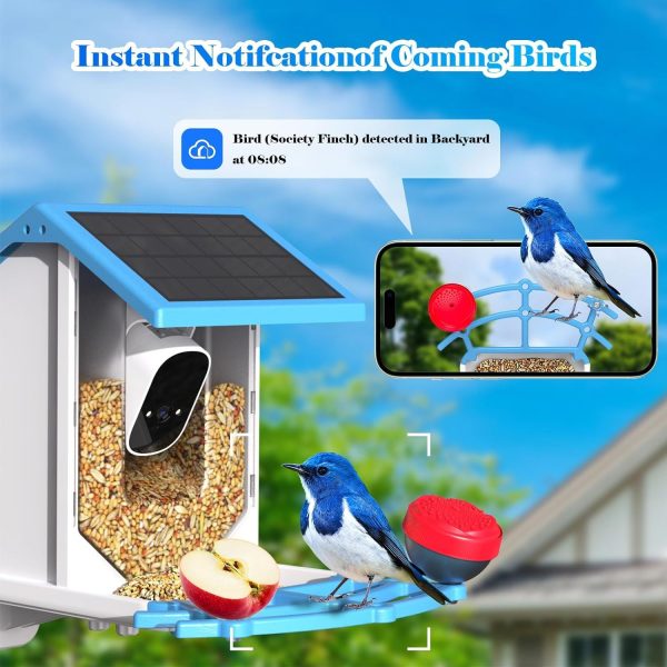 Smart Bird Feeder With Camera,Solar-Powered WiFi 4MP Live Camera,AI Identify Bird Species Auto Capture Garden Bird Watching&Motion Detection,Ideal Gift For Bird Lovers,Blue - Image 6